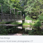 The Emotional Transition To Stable Life Change